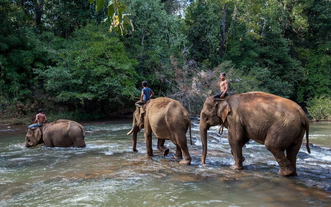 Viaggi in Cambogia : non solo Angkor Wat