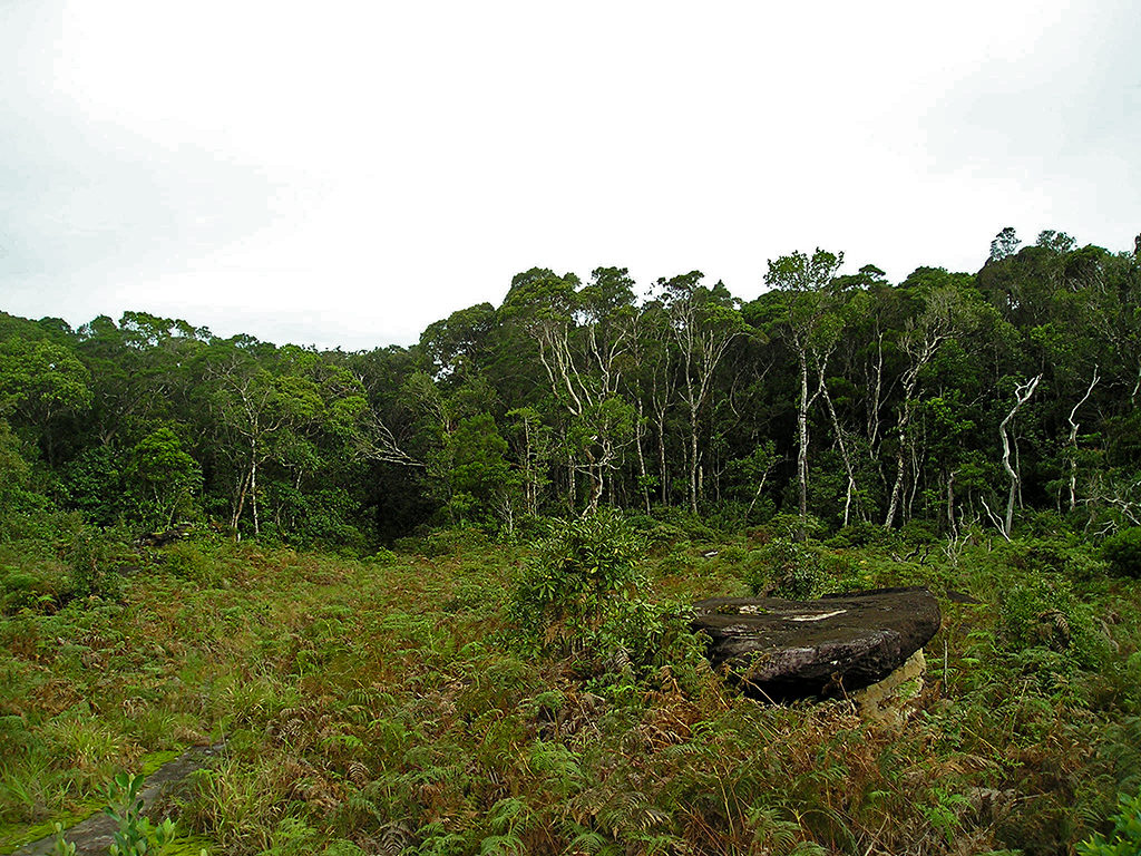 Parco Nazionale di Bokor