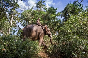 Tour Angkor e le province remote